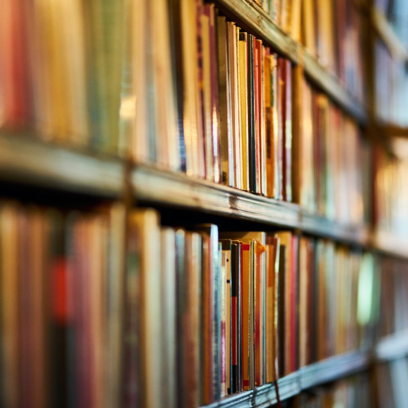 books lined up on several shelves
